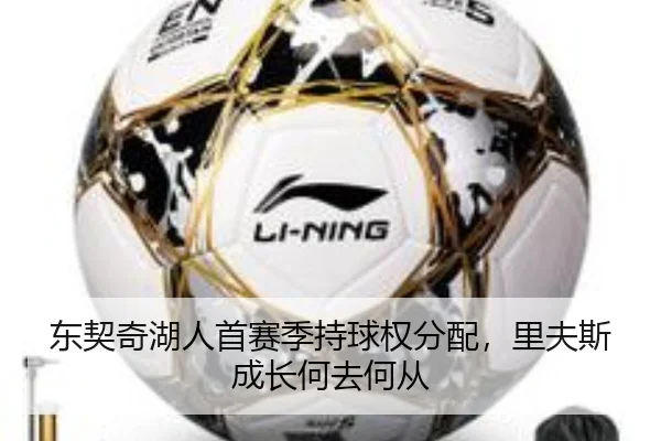 东契奇湖人首赛季持球权分配，里夫斯成长何去何从